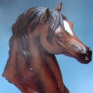 Arabian Horse Head