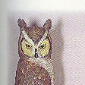 Great Horned Owl