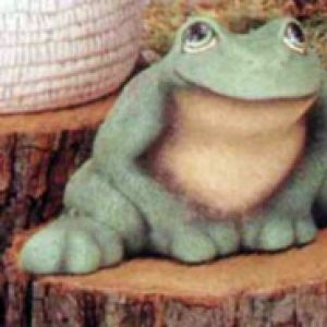 Sitting Frog