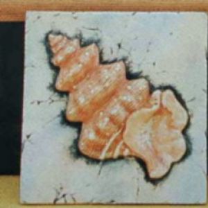 Frog Shell Tile