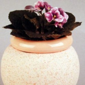 African Violet Pot