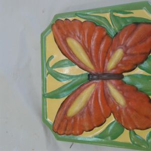 Stepping Stone Butterfly