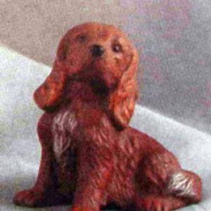 Irish Setter