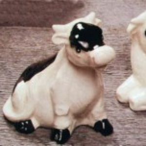 Cow Salt & Pepper set