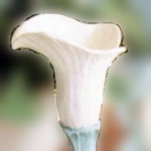 Calla Lilly Bud Vase