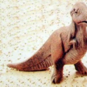 T Rex Small