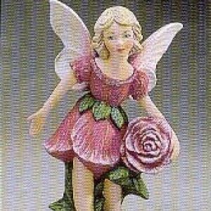 Rose Fairy