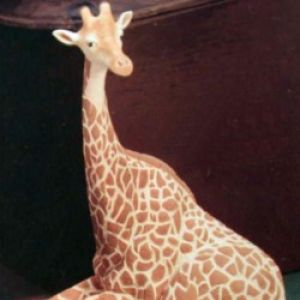 Giraffe 9