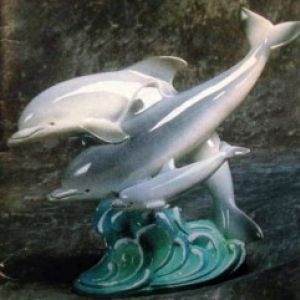 Dolphin Family #1