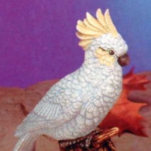 Cockatoo