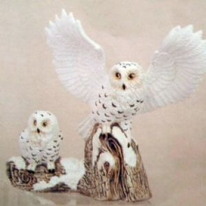 Snow Owl With Baby