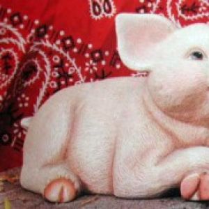 Pig With Legs Crossed