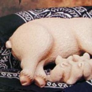 Nurturing Piglets Small