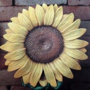 Sunflower Birdfeeder