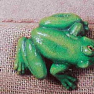 Tree Frog Facing