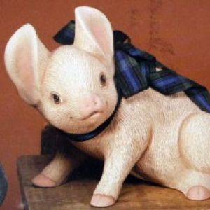 Sitting Pig