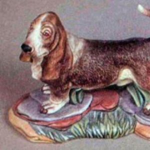 Basset Hound Dog