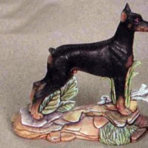 Doberman Dog