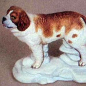 St Bernard Dog