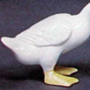 Duck 6