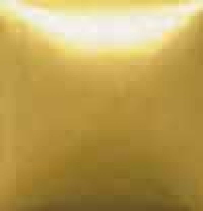 Gold Lame