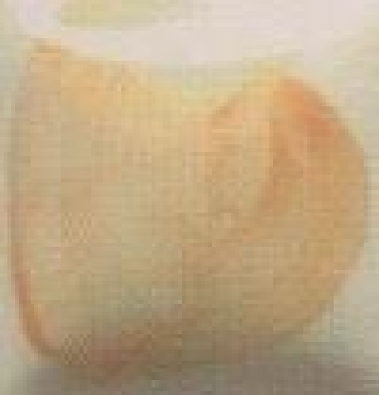 Peaches n Cream