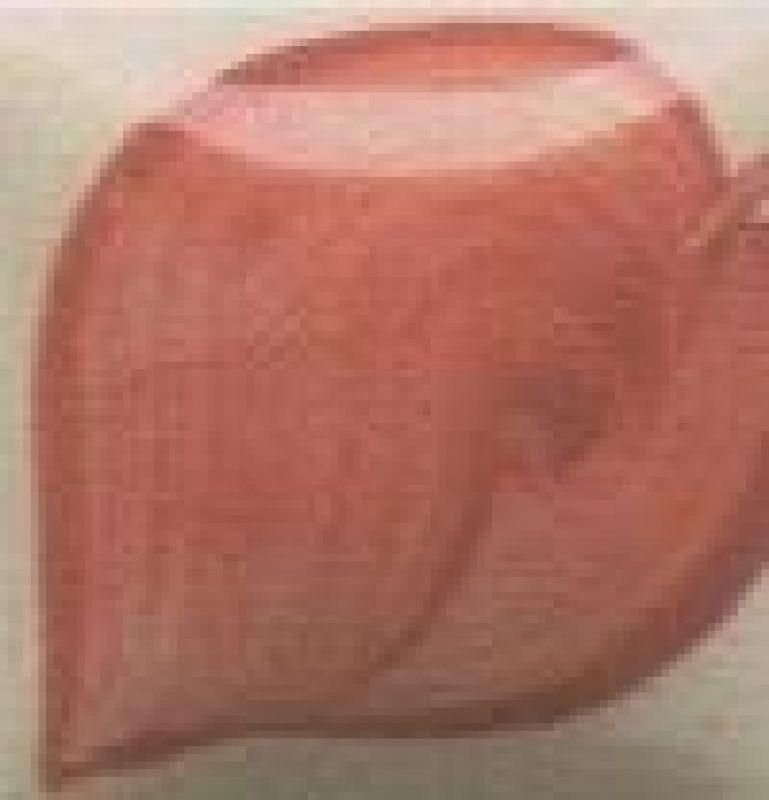 Apricot Preserves