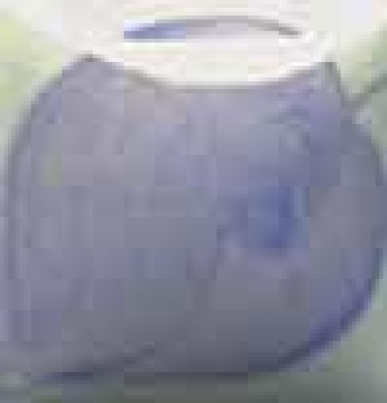 Periwinkle