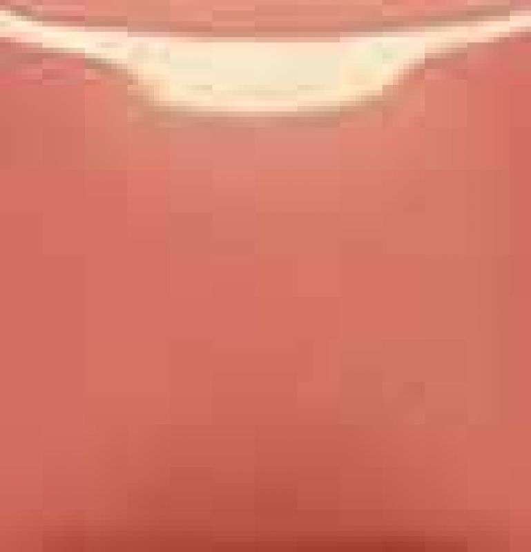 Cantaloupe