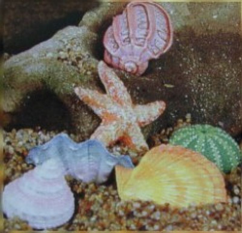 Shells & Stars (set of  5)