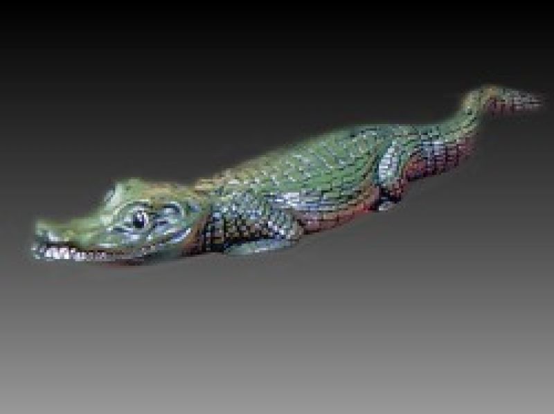 Alligator