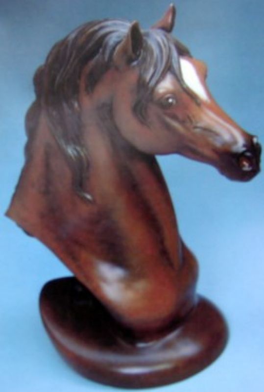 Arabian Horse Head