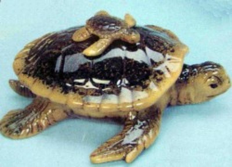 Sea Turtle