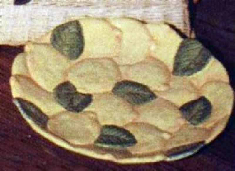 Lemon Serving Plate