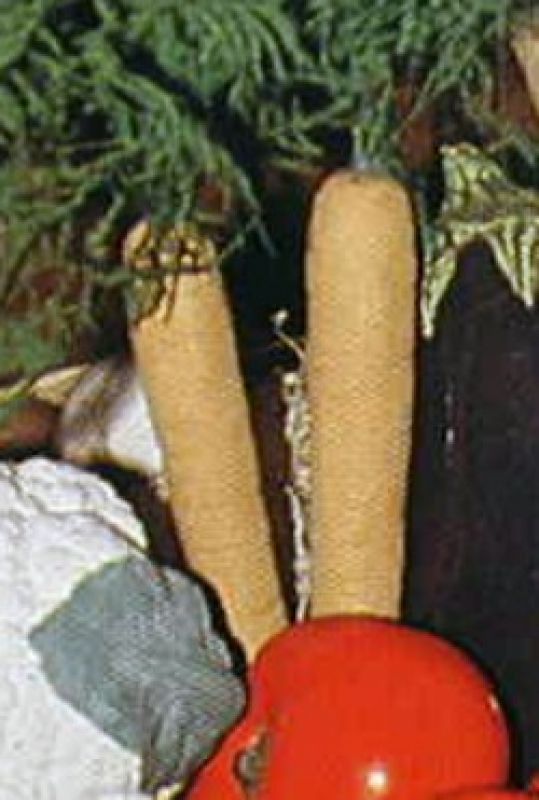 Carrots Each