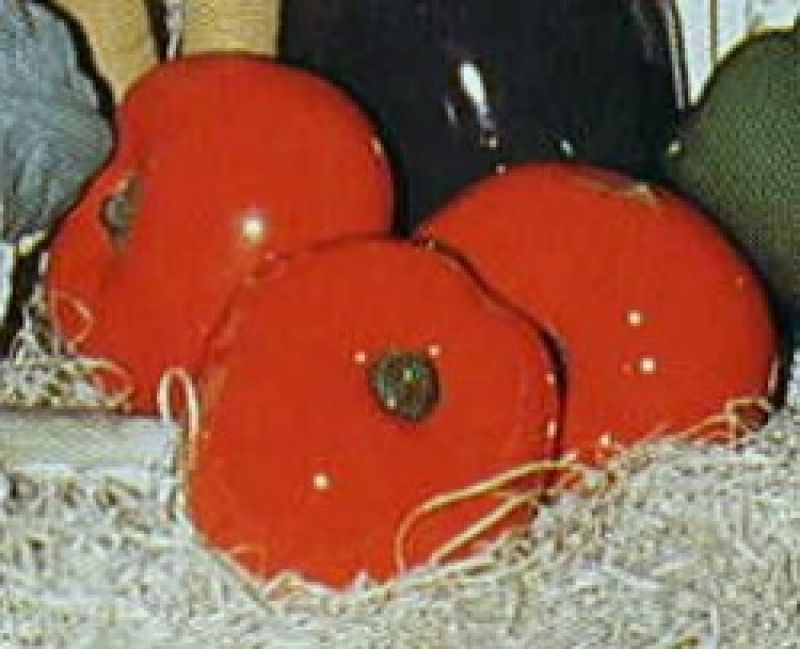 Tomatoes Each