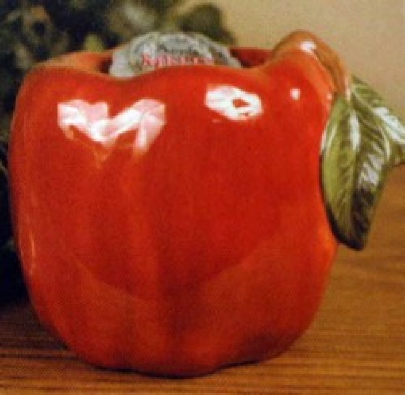 Apple Melting Pot