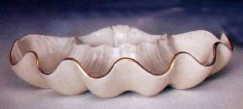 Shell Chip & Dip
