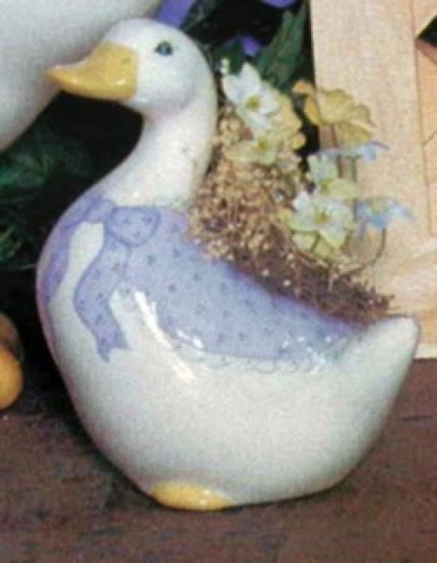 Baby Duckling Head Up