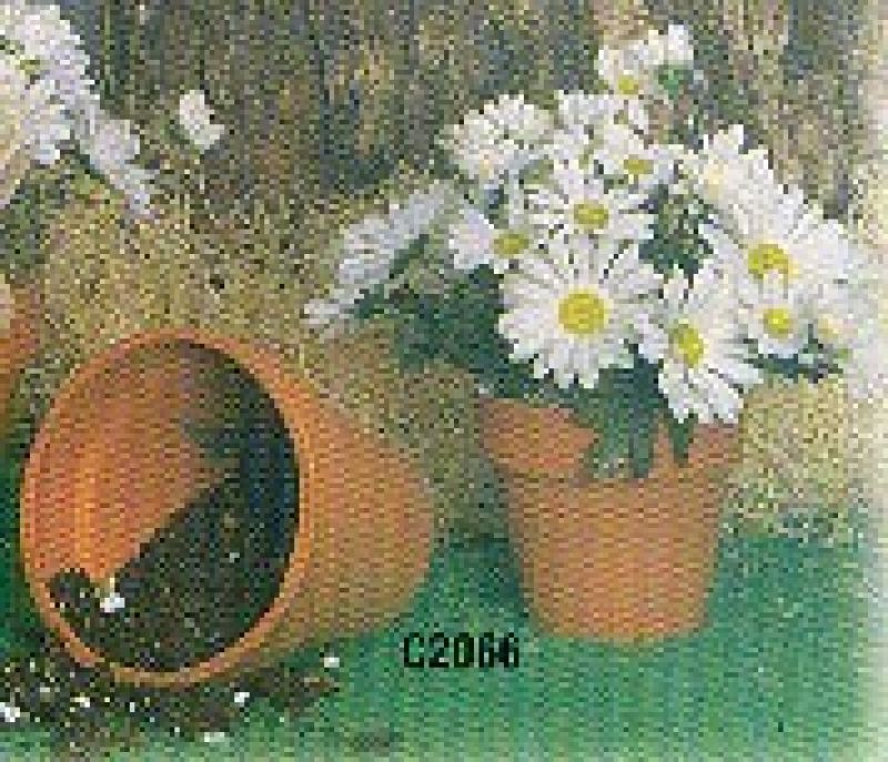 Medium Plant Holder Plain