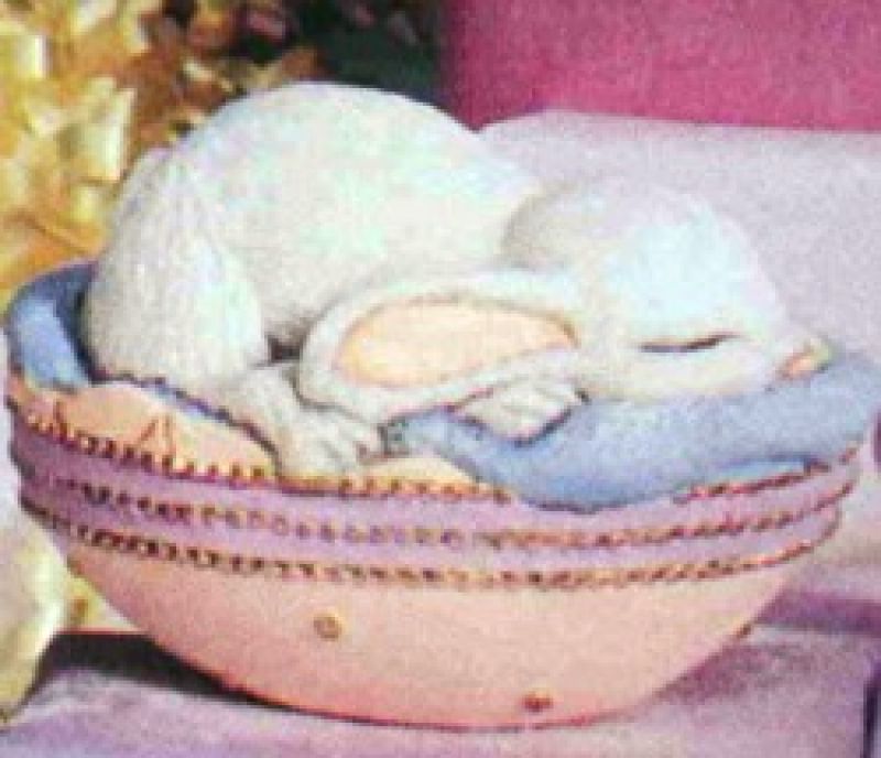 Baby Bunny In Bed awake