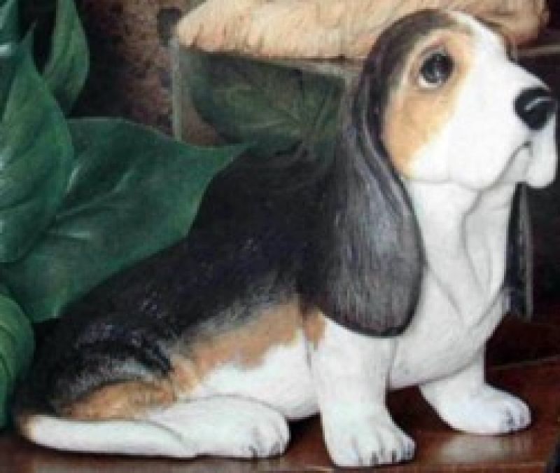 Bassett Small