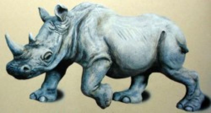 White Rhino
