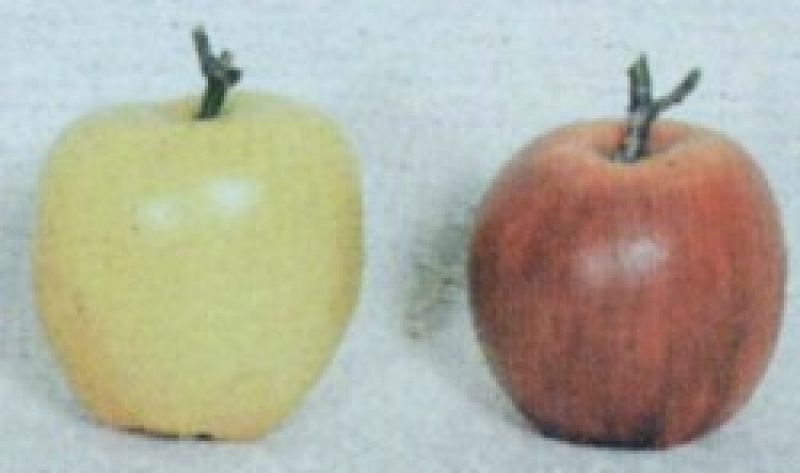 Apples Each (set of 2)