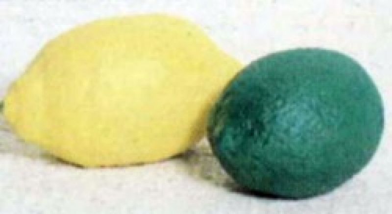 Lemon/Lime (set of 2)
