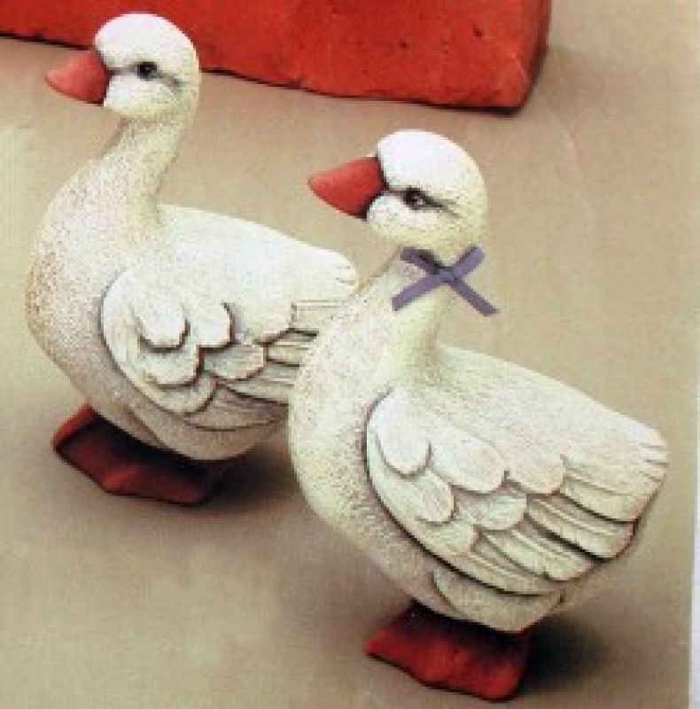 Geese
