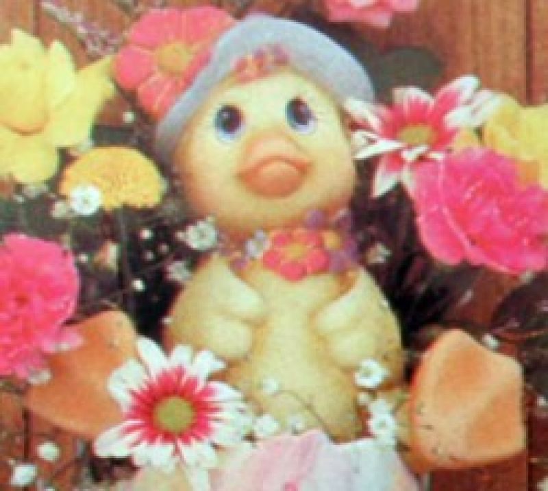 Duck With Flowers Small