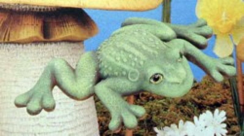 Leaping Frog