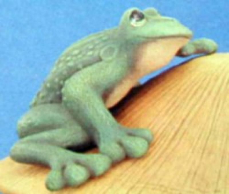 Frog For Large Mushroom