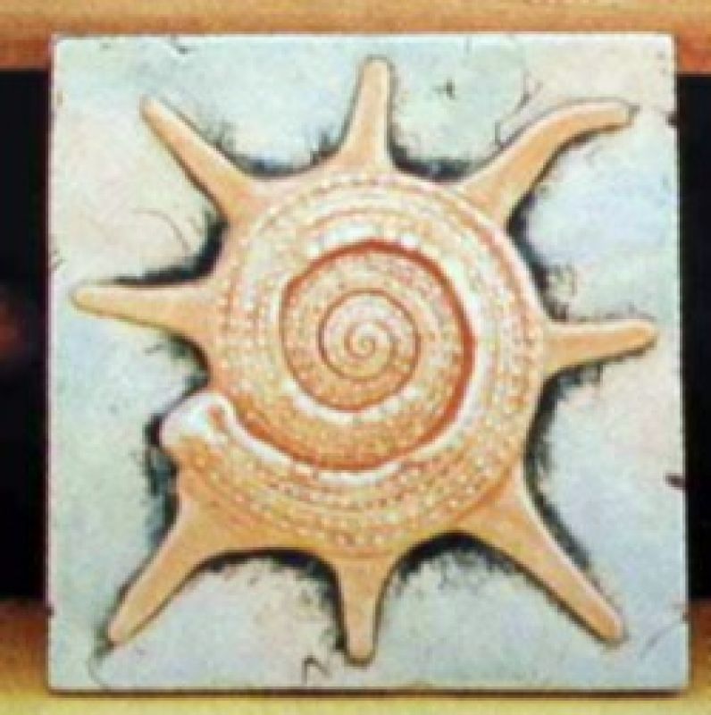 Star Shell Tile